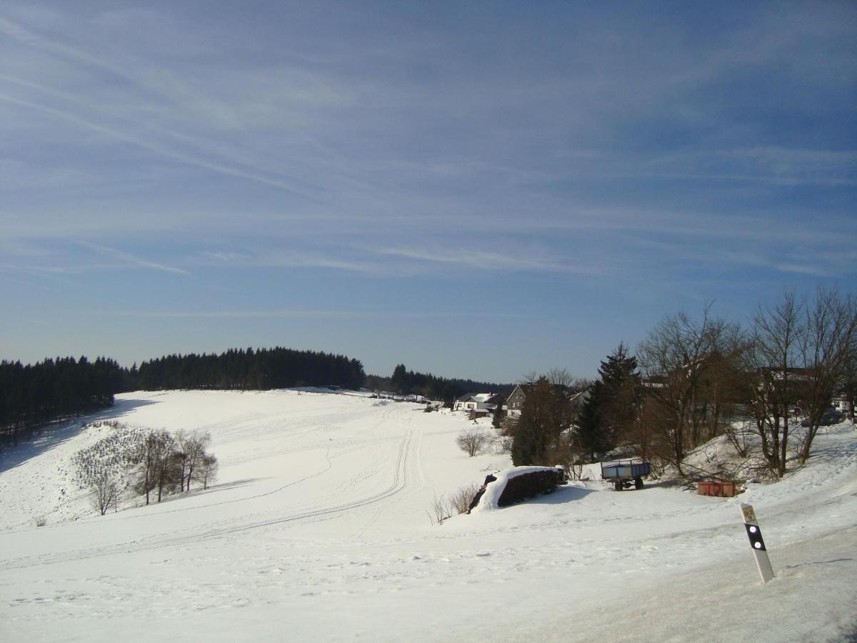 Appartement An Der Erlebniskappe Mit Fahrradkeller Winterberg Exterior foto