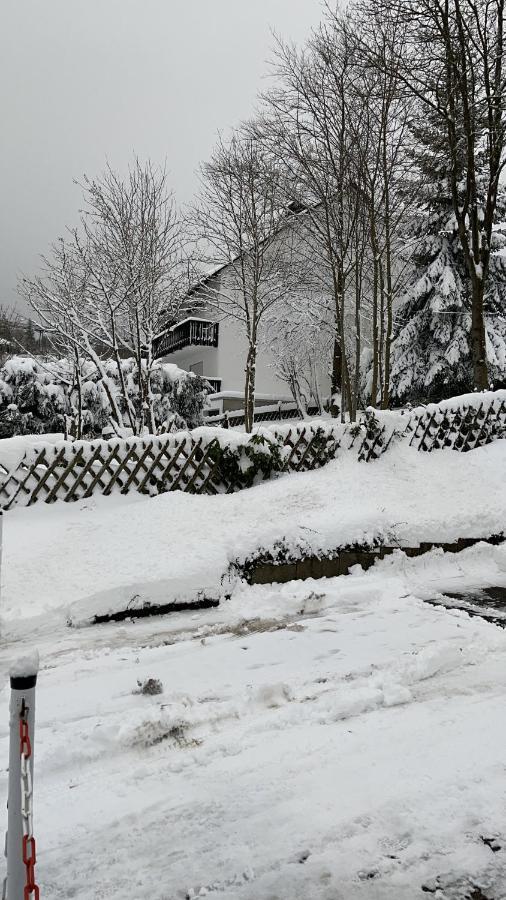 Appartement An Der Erlebniskappe Mit Fahrradkeller Winterberg Exterior foto